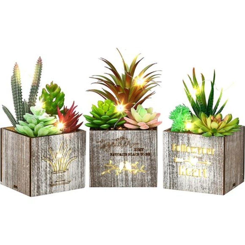 Set of 3 Succulent Plants Artificial in Pots with LED Lights